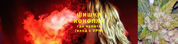 spice Магас