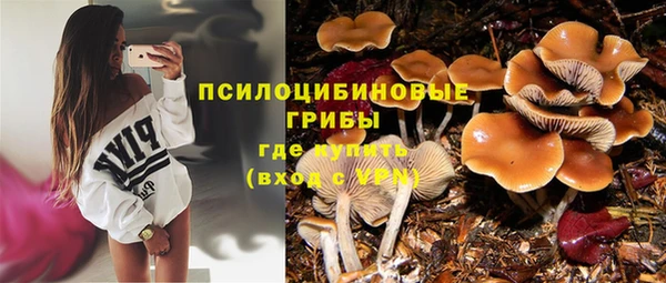 тгк Майский