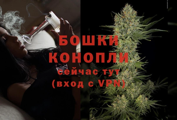 spice Магас