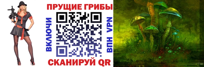 что такое   Новая Усмань  Псилоцибиновые грибы Cubensis 